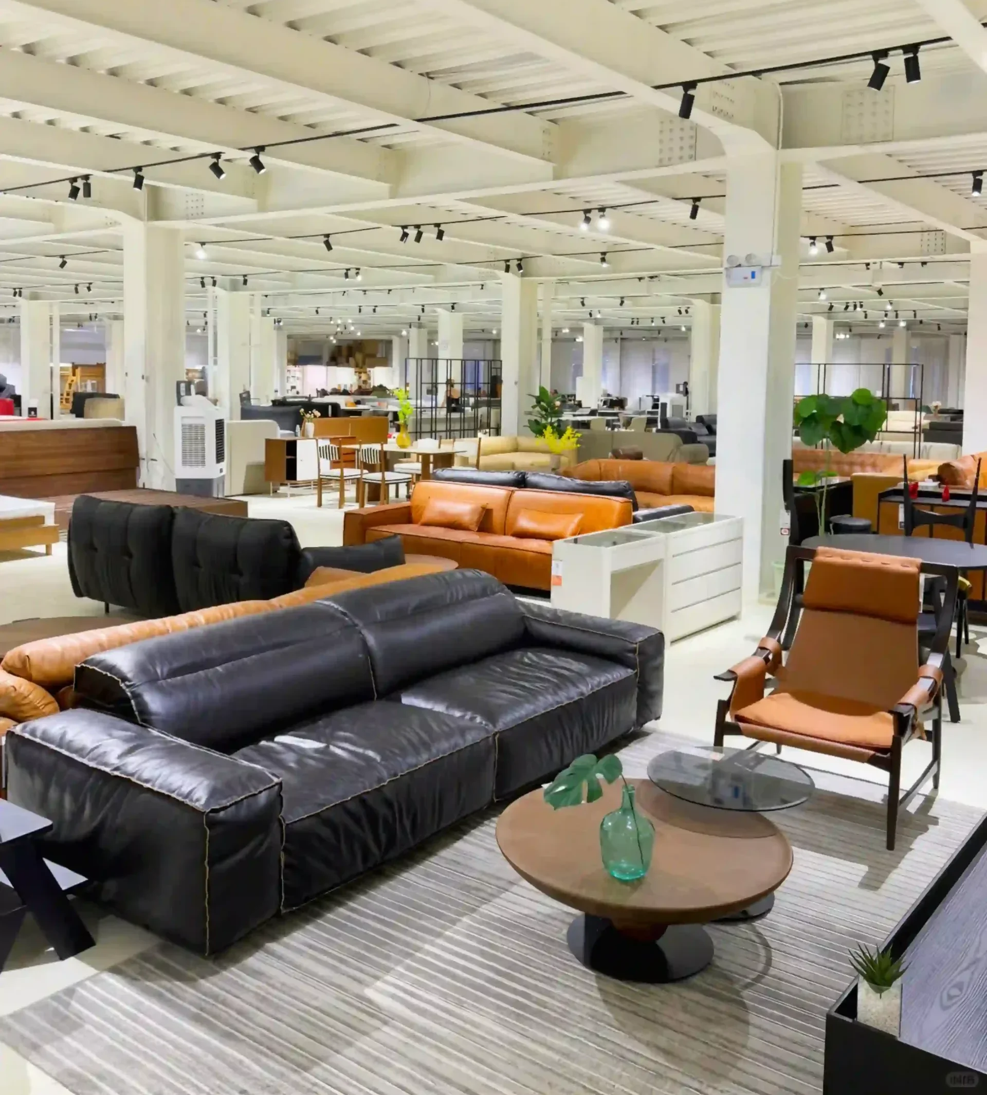 Furniture Exhibition Hall